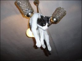 Крутой фокус