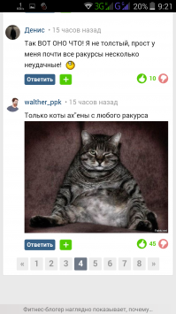 Кошки, достойные "Оскара"