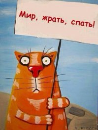 Как менялся праздник Первомая за последние 100 лет