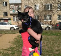 Вывела сегодня первый раз своего монстрика погулять..Все с мелкими "ножевыми"ранениями до дома еле дошли. А ему только 9 мес.