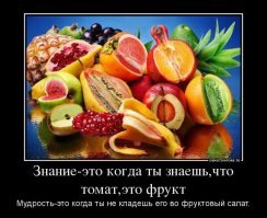Огурцы и помидоры - не овощи