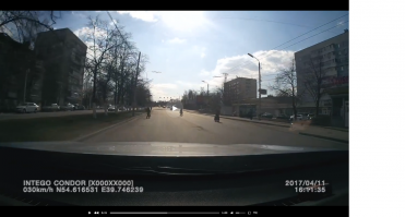Город непуганых пешеходов