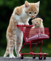 И кто из них мама? Одному 3 недели, другому 3 месяца