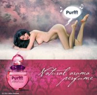 Маразмы месяца