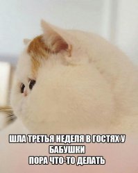 Британка похудела на 50 килограммов, чтобы отомстить бросившему ее жениху