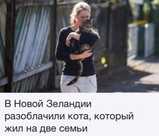 У нас в соседнем доме мужика одного такого разоблачили...