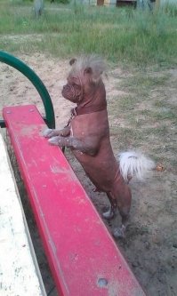 Это Борька!