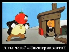 Каково это — жить в самом узком доме в мире