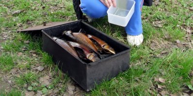 На майские, года 3 назад