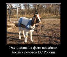 Ученые Кавказа так же не дремлют