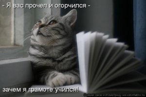Незнакомый друг!