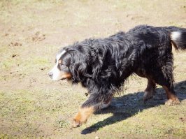 Вот, вчера виделся