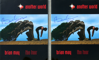 глядя на дерево вспомнил - брайан мэй альбом 1998 года...