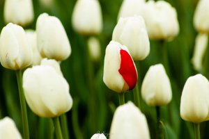 Фотоподборка за 02.05.2017