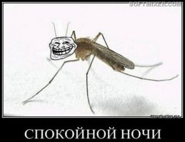 Эта платформа для грёз и ныряния может изменить ваше мировоззрение