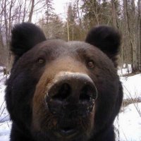 Ты можешь обойтись сегодня без меня?