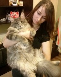 Заводите! Мой и палочку приносит)))) и вандалит с утра до вечера, шкафы открывает только так!!!