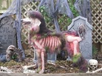 это шикарно