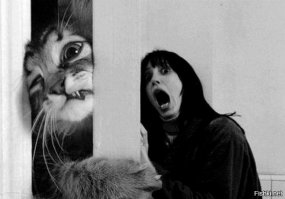 Самые страшные статьи Википедии