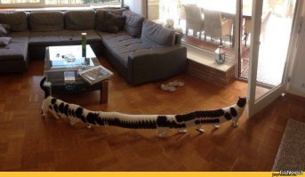 Паранормальные явления на фотографиях: правда или фотошоп?