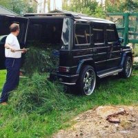 бате пох что у тебя гелик ему сено позарез надо