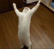 Некоторые люди - не знают, что теряют/выбрасывают/убивают.