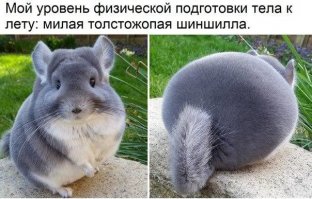 Прикольные картинки