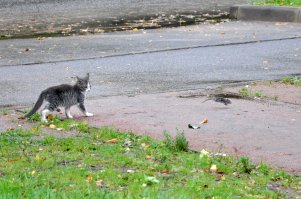 Финал остался открытым...