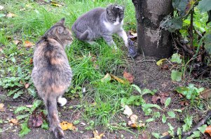 Финал остался открытым...