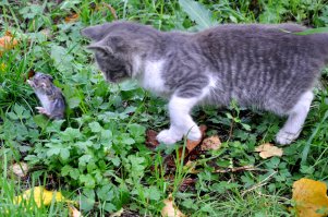 Финал остался открытым...