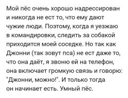 А потом статья в газете- "Сенсация! Собака погибла из-за проблем с мобильной связью!"