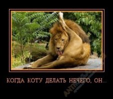 Пять дней строить вчетвером конуру на 40 квадратов стоимостью 350 тыщ. Да еще и из вонючего пластика. В КОЛУМБИИ где жара.