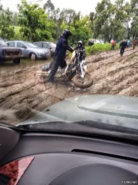 А при чем тут кот? На этом фото я видимо поскользнулся потому, что не позавтракал или нос накануне чесался...