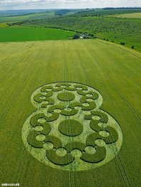 А такие брачные гнезда на земле строят суровые кролики )))