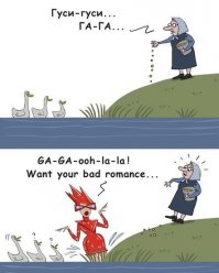 Утка и пёс - лучшие друзья