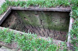 Попался, голубчик)