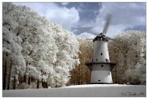 Инфракрасные фотографии во всей красе