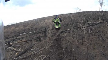 Идиоты ! Они не понимают, что вместе с травой выгорают деревья !
А дерево не за один год вырастает !!!