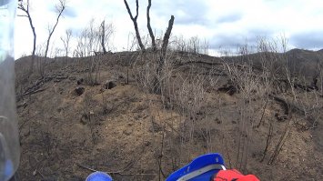 Идиоты ! Они не понимают, что вместе с травой выгорают деревья !
А дерево не за один год вырастает !!!