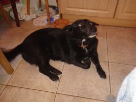 не знал, что моя Ляпка китайские товары рекламирует