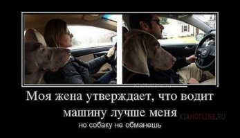 Тот неловкий момент, когда твоя жена получила права