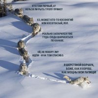 Сотни гусениц закружились в  хороводе