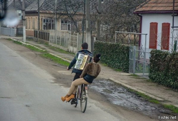 Я ядреный, как кабан,
Я имею свой баян,
Я на ём панк-рок пистоню,
Не найти во мне изъян.
Первый парень на весь край,
На меня все бабки в лай.
А-а-а-ай, ну и няхай!