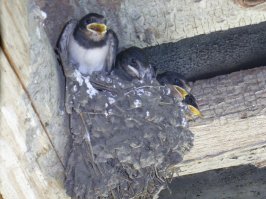 Очень люблю фотографию и сама снимаю много.