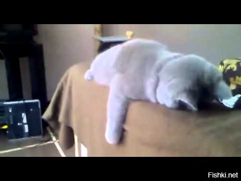 А если она загорала вот так?: