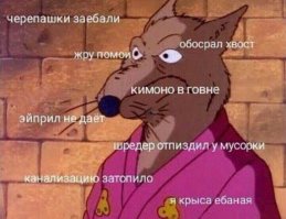 Ещё раз здесь проедешь - колёса прокушу! Смелости этой ондатры можно только позавидовать