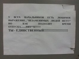 Как не сойти с ума от безделья, когда начальник в отпуске