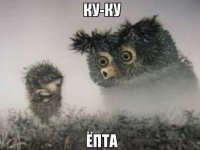 Тайная жизнь ежиков