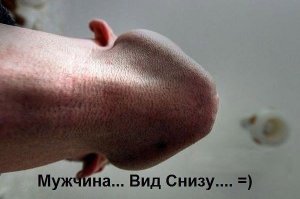 Улыбательные картинки 