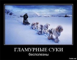  Подборка демотиваторов, которые поднимут вам настроение